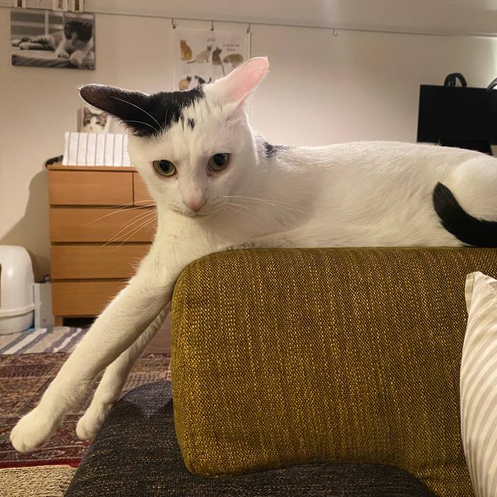 202b12d0 152a 4851 a00d 2e0913bfa5a2 1708344111882