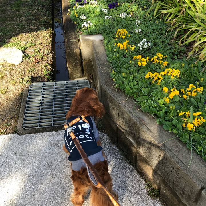 202b83ab f062 40e2 94c3 2f5fe9fd1240 1647736622008