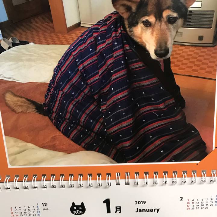 202bbc07 e46b 4ed6 86ab bc72bc43f9de 1549106450948