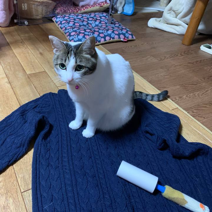 202be919 e7df 4056 9991 e4da85a8f69a 1579531949433