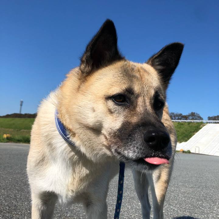 202c3f5e 97e3 445e b499 eafde286fbf5 1603018926324