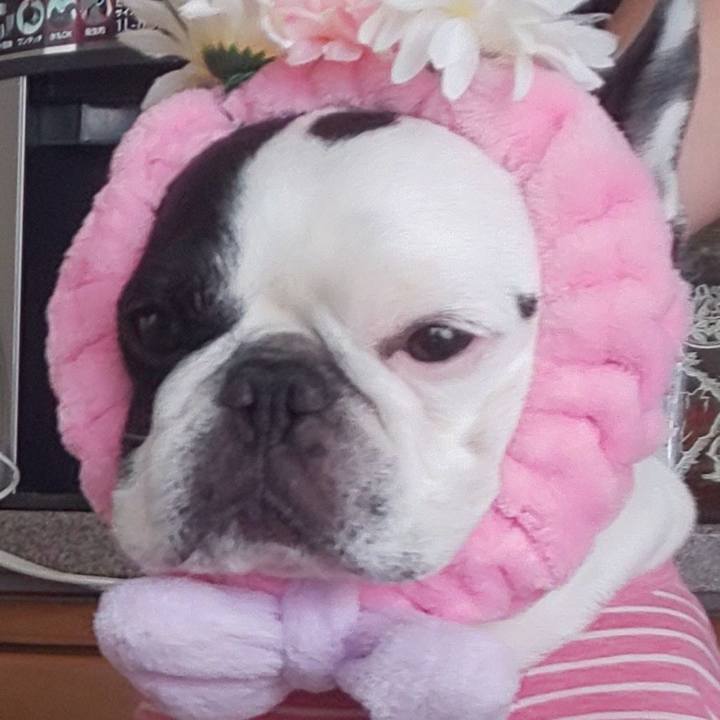 202c8151 5767 4b9e 838b d41057399e19 1617091915343