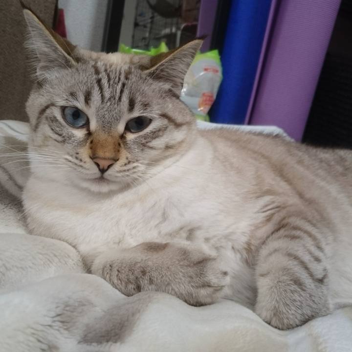 202ca3dd ee27 4590 bf2a eea0e8dd21c9 1508799881158