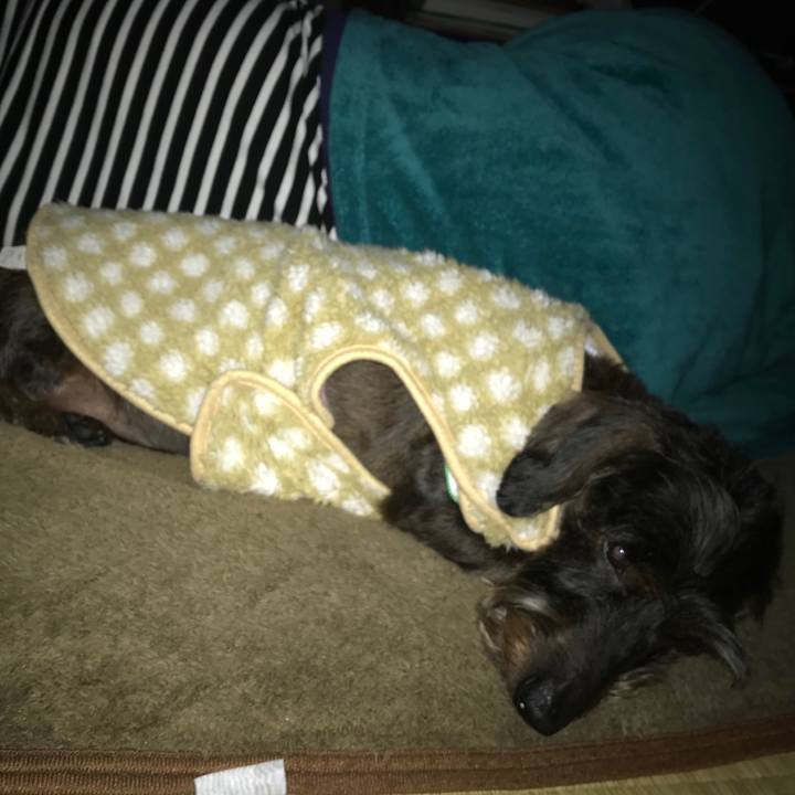 202ca4cc d8eb 4443 85ee 4f84479af0dc 1545580629811