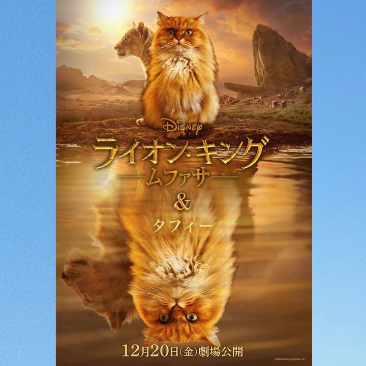 202cee4a 8ee3 478f baf9 8aac455faf56 1734865214144