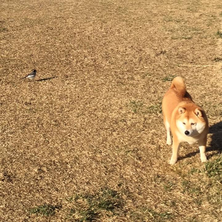 202d2305 a45d 44e3 920c ddd660065cfa 1550547448716