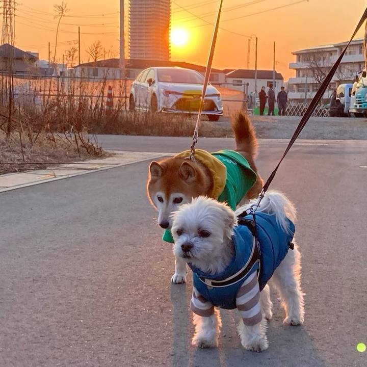 202d45ea fdcc 4548 b21a 24dfeb517fbc 1737623638677