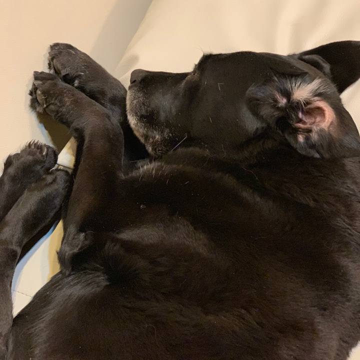 202d754d f0bd 480b 8680 eb2d5dac3cc9 1553692162558