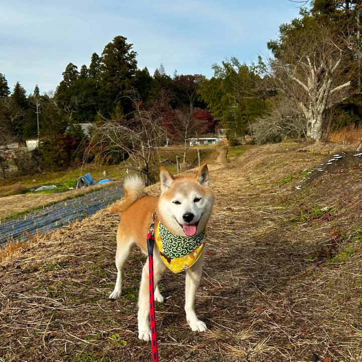 202d8b42 304e 4337 bbaf 7e19fff0a79d 1764580419073