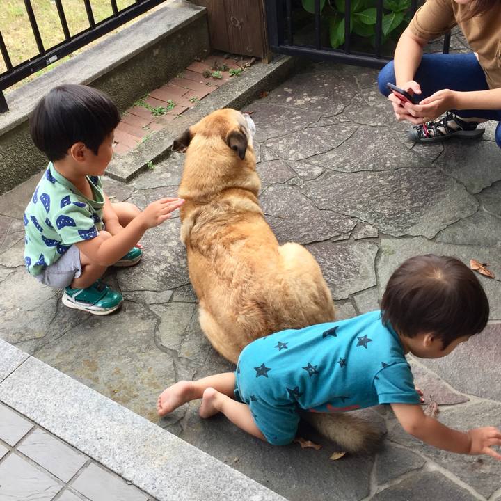 202d8ceb 6a5d 4c11 9dda 3a813b2cbacf 1565582227780