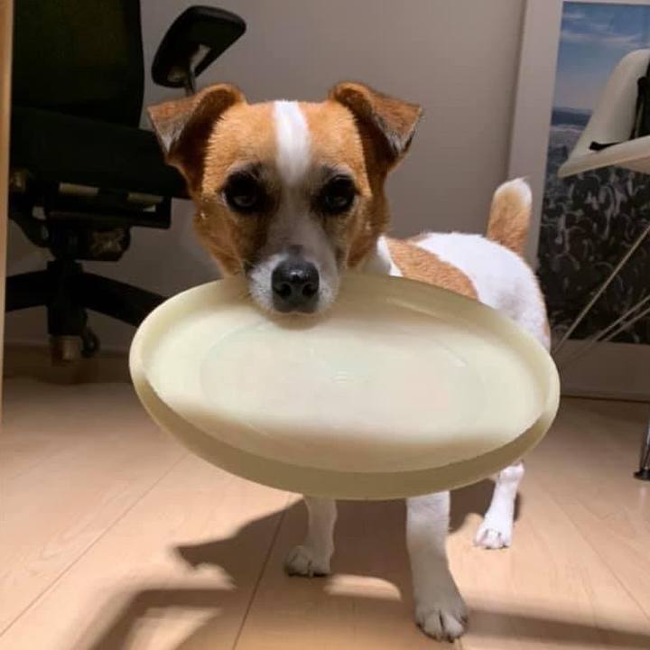 202de960 c167 4aa6 abea e069a61a194a 1658712621056