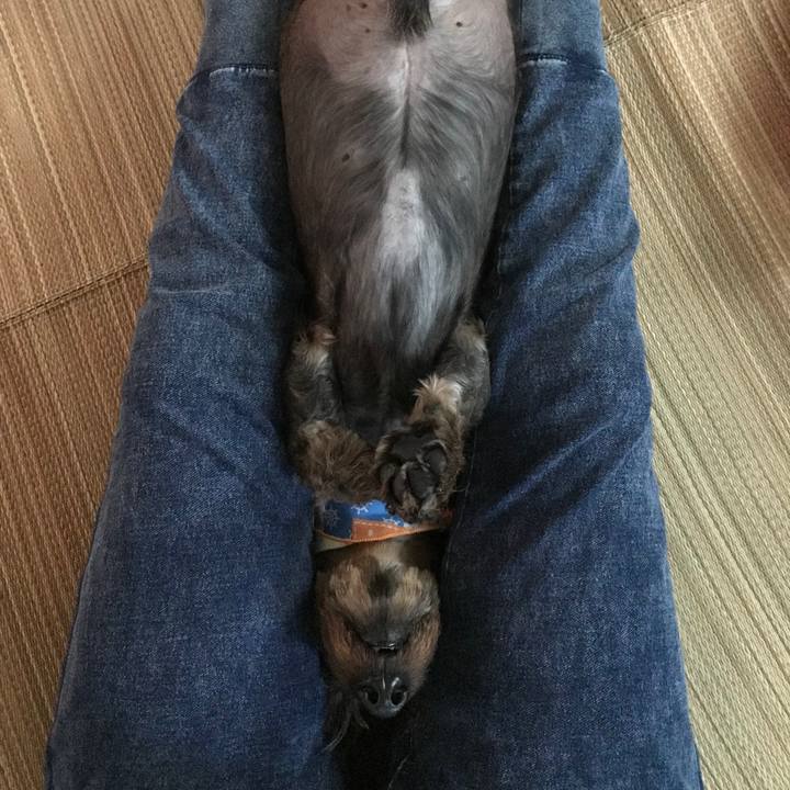 202dfd1b 6ddf 4ba9 8f79 182c54224c76 1535102151298