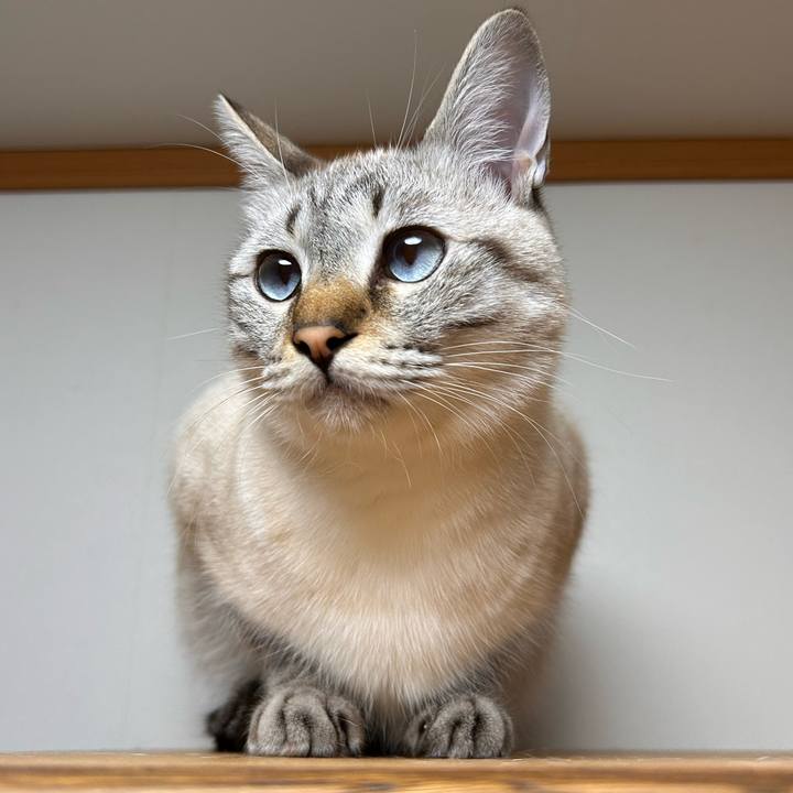 202e0d11 fa20 4b6b 8003 f28e01a64cdf 1765629869002