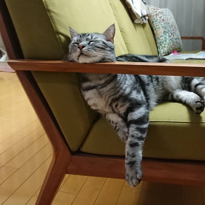 202e2762 966d 48b1 8938 7b1450053188 1577795324387