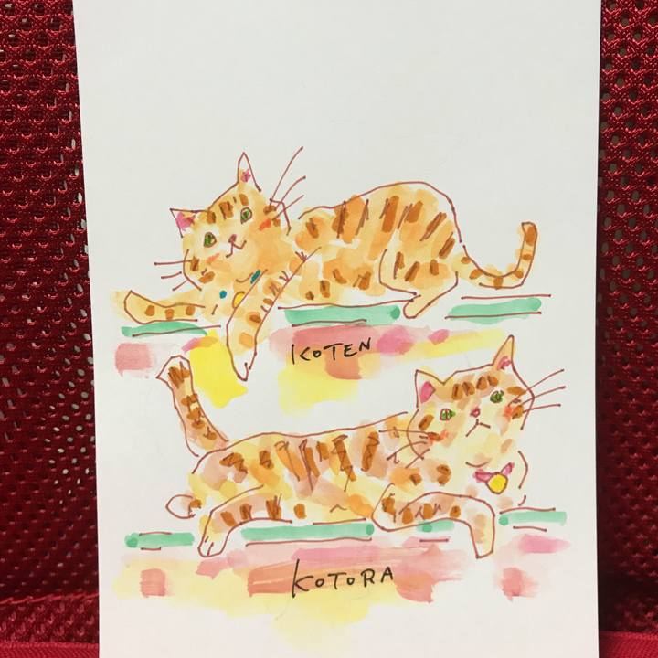 202e3de4 c732 47ed ac3d 0089c072c789 1545836140792