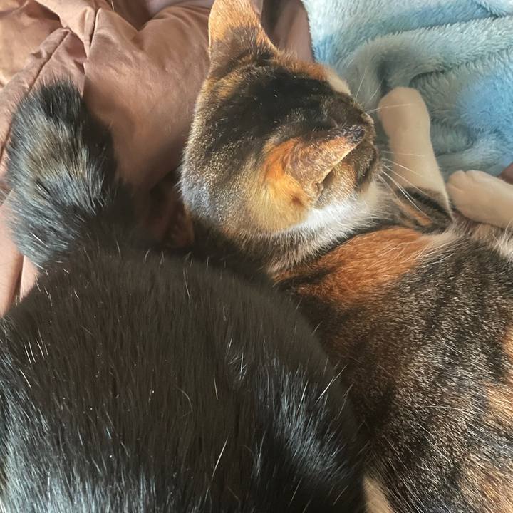 202e4615 2777 4dbc acb0 4f954d6cc7b1 1645136344321