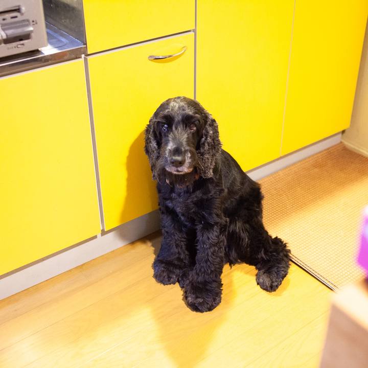 202e6d0b adf7 40bd a7e9 42fe1b2ce498 1571985662936