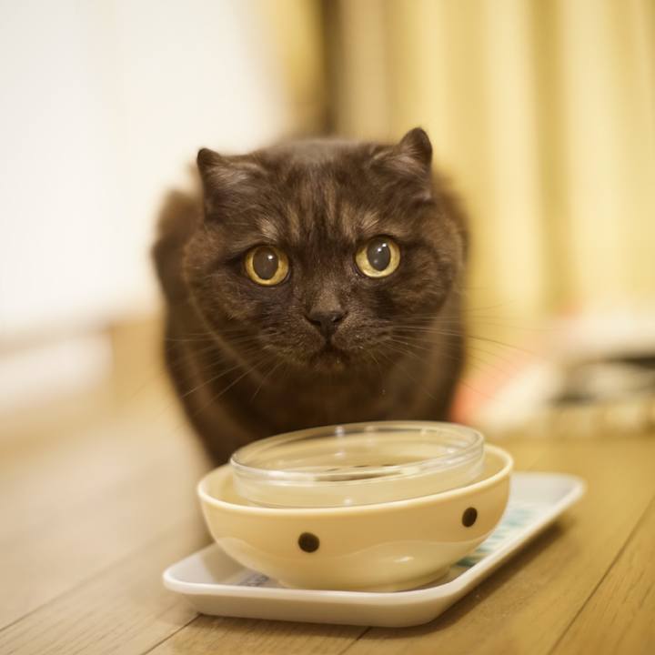 202e9e9b b0f5 478b ba98 0f1405ccd8cb 1619626095397