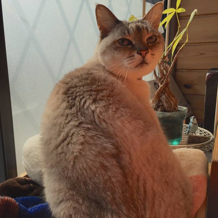 202ebf2c 0607 461d 8d02 8194554658a9 1516334419066