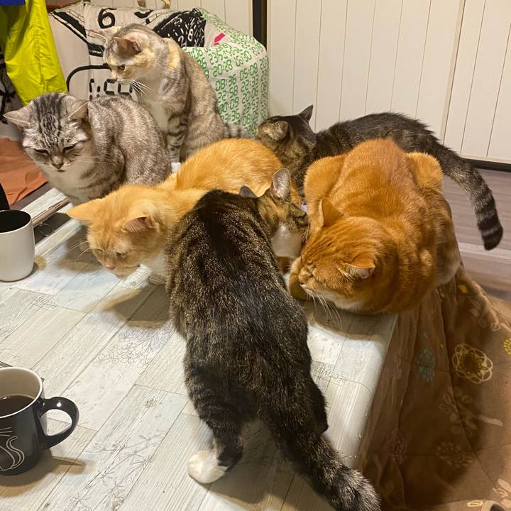 202f329a cd61 4d66 ae71 3742ca0b935d 1608310988381