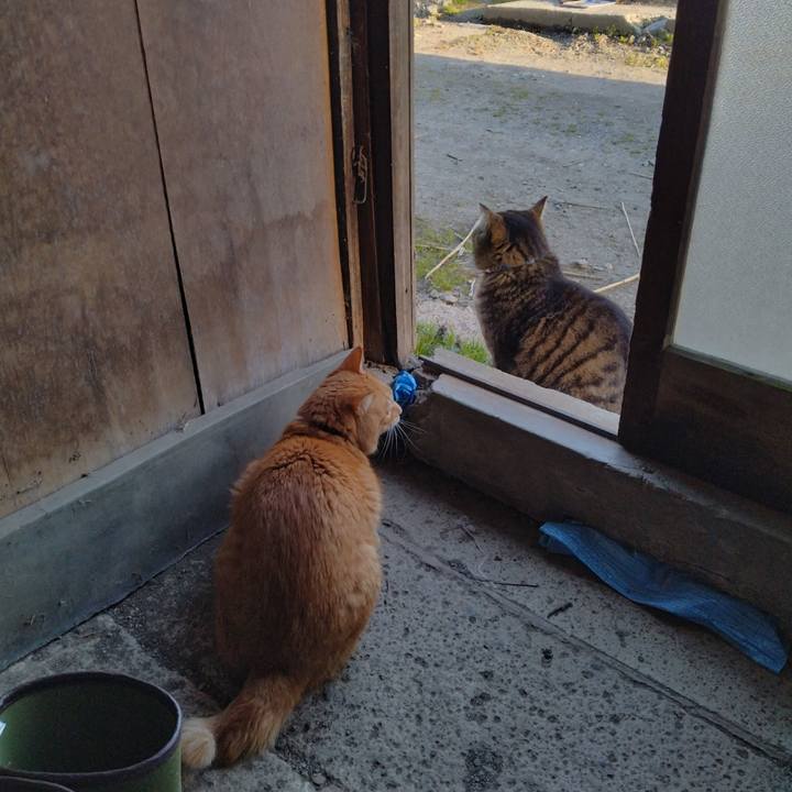 202f4efe 798b 4097 85b2 47ef21e32206 1680078326212