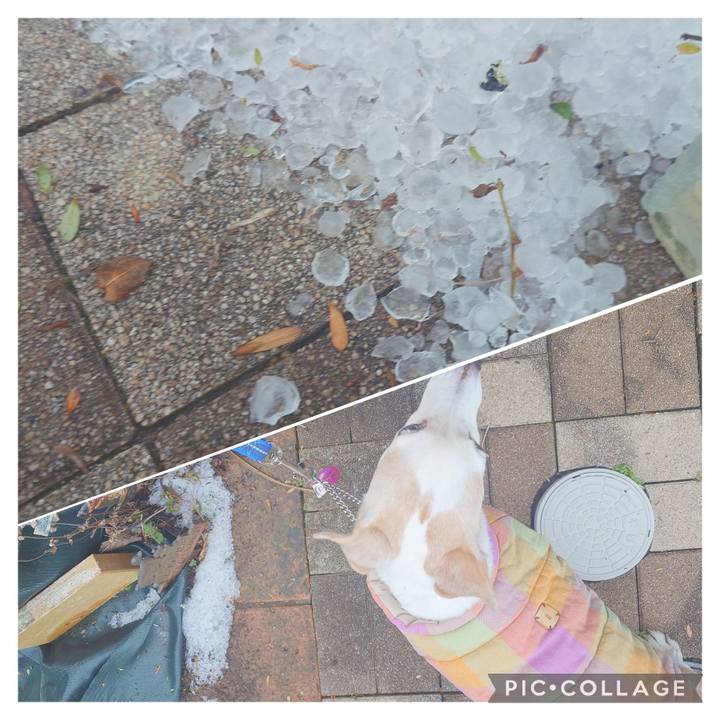 202f9282 ea47 4445 b8cf faeca24157a3 1768087286383