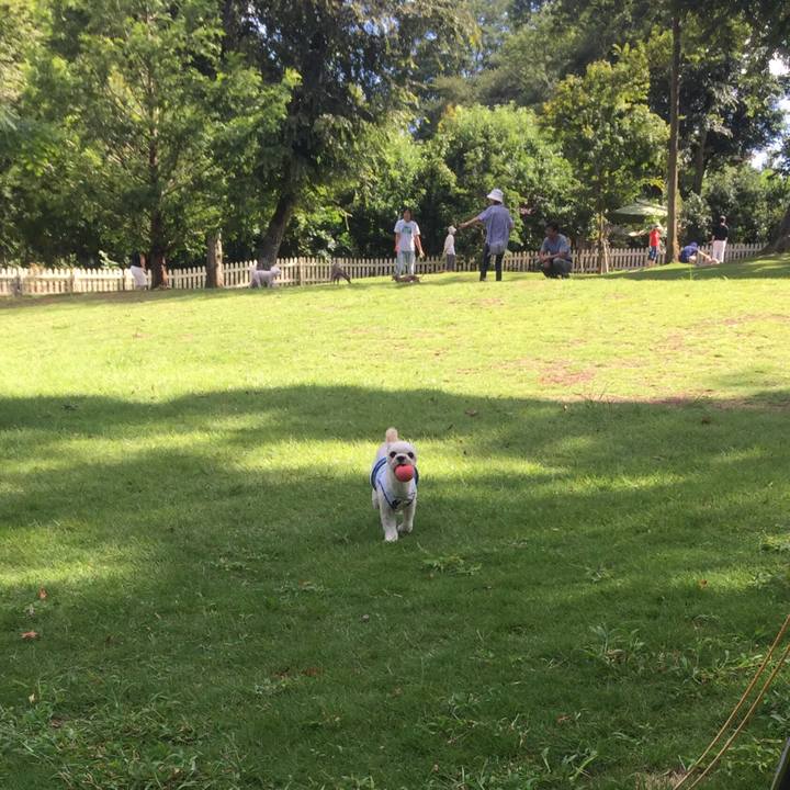 202fce01 e724 4dc6 84e1 578c7674726a 1534500816811