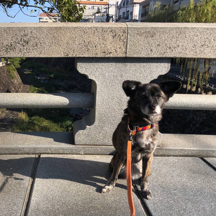 202ff1a3 f465 4c89 8d08 afc6d177ab99 1575865081133