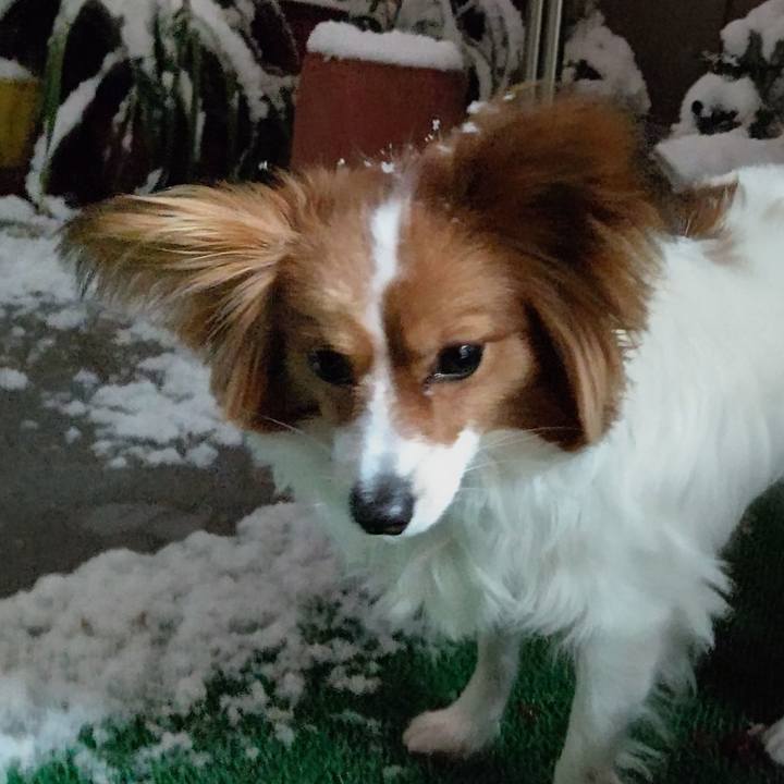 202ff9ef dcc2 4ce5 bde9 fc064c8da29a 1641461097162