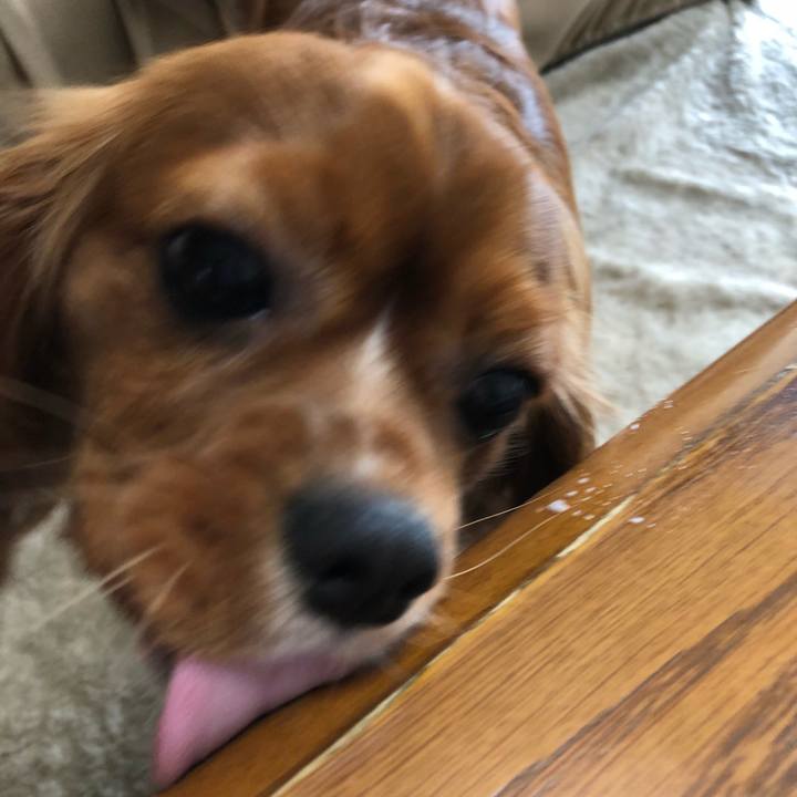 203009b3 58e8 40bb 8f37 452bb4c6f3d4 1526509421253