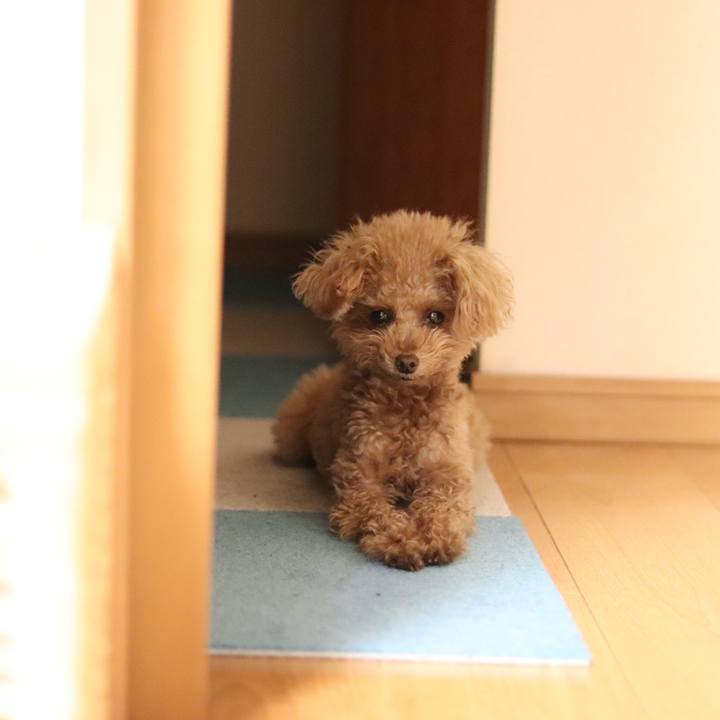 20303a7d 895b 4a02 aa1f 1dac5874a1a3 1553601166983