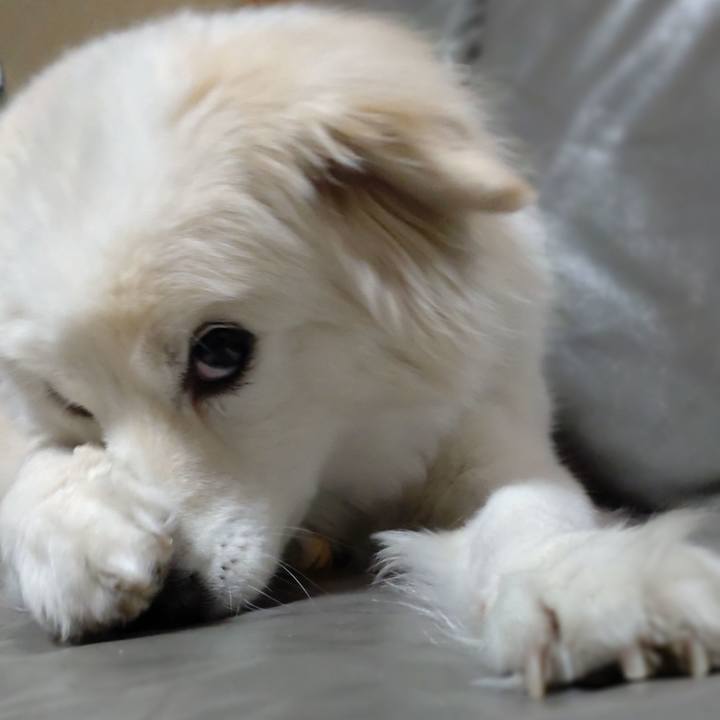 203051e7 56fc 4883 b45c 2018788c2801 1650330882309