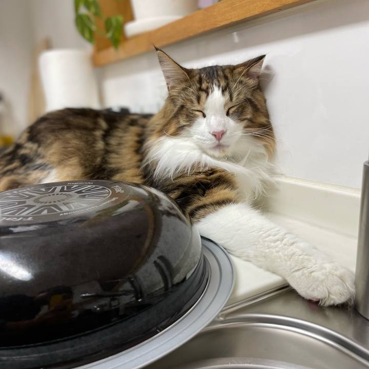 203068e2 babd 4a32 a213 84667477a96c 1654860275636