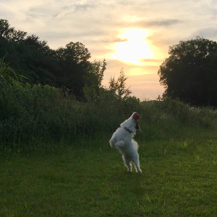 203075d7 6f9d 4efb 8cac 0f89d680175d 1532558963012