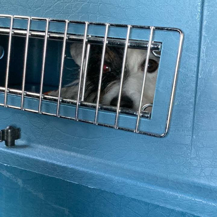 20308167 501d 4012 82de 9950ba2a5230 1649570096419