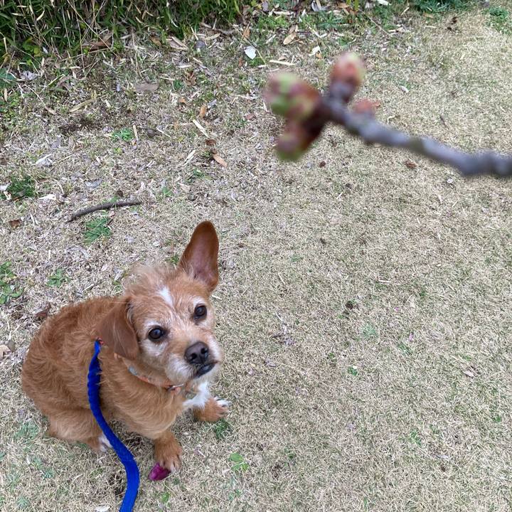 20309333 00d9 4579 932f 7f648ac40130 1647770705565