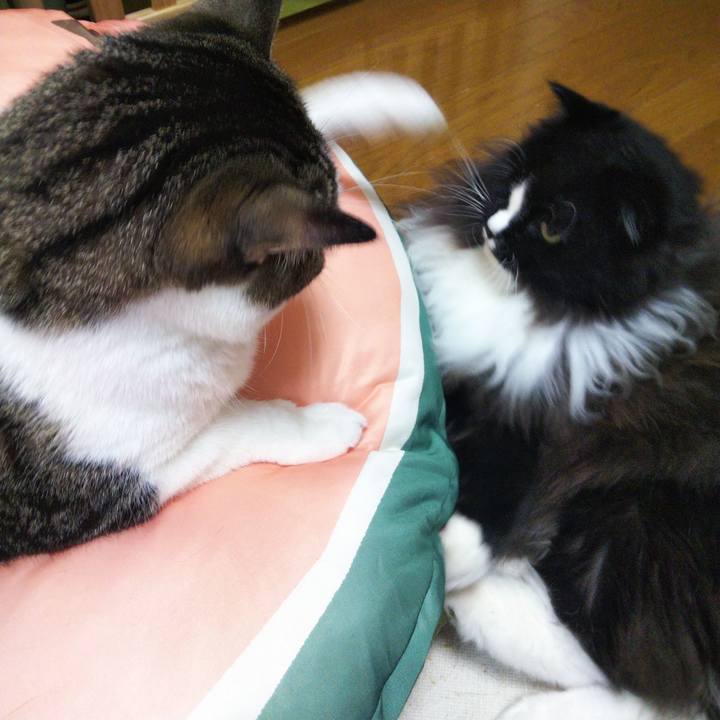 2030d786 89b4 4f00 a6da ac77a9d170d2 1660446457659