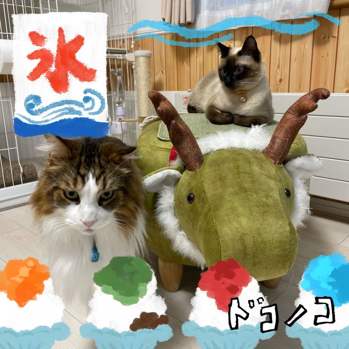 2030ddae d577 46aa 8635 1b28043ceeee 1723665281961