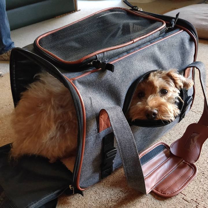 2030ed45 9fee 476d 94e1 dfe471f5d3e2 1586817155605