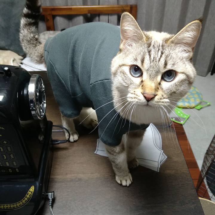 2031042d 625d 4683 b4a6 5037884cd9d3 1736772259166