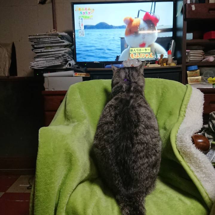 20310eb8 50db 42c8 93eb a2515fcebb3c 1588675508439