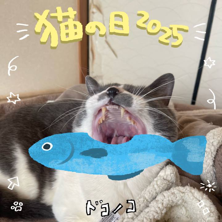 203115a3 78d2 43d3 9290 599dcd5eb246 1740176585114