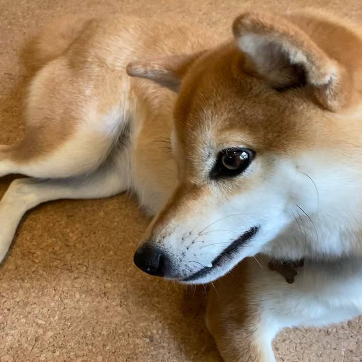 2031706f 74b5 475a bfda b95fcd4d5c09 1654504295609