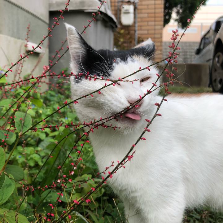 20318453 e9f0 42de ae36 64dbfc9145c1 1602371695752