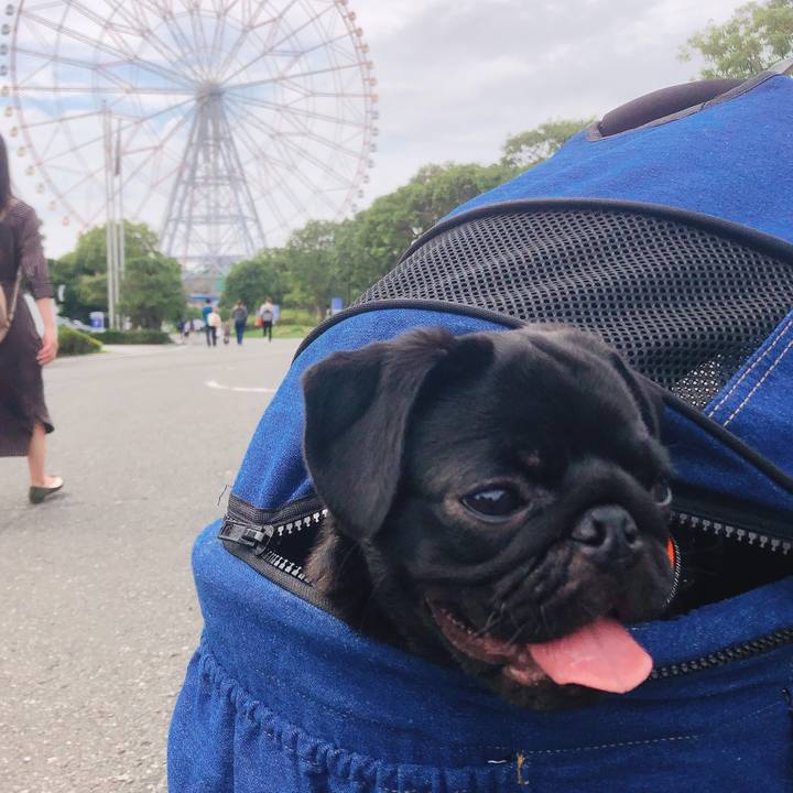 2031a88a 406f 4fec 9672 abef313ba453 1600661786198