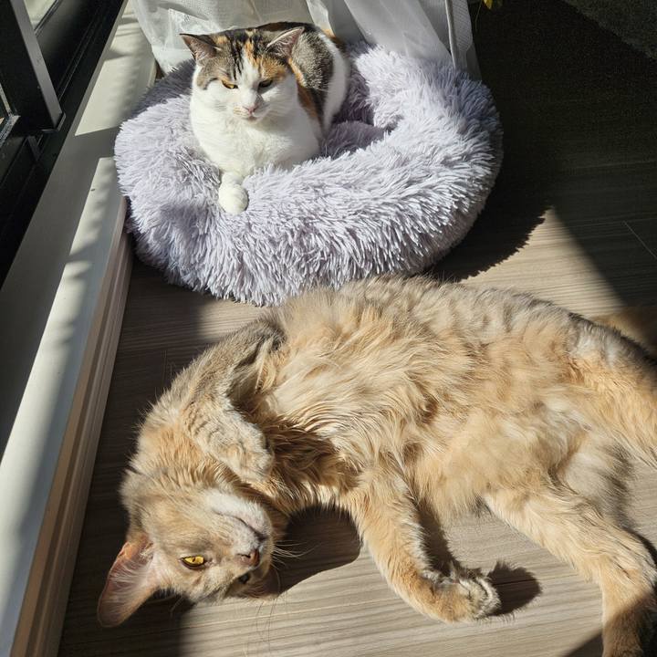 2031b6e6 19a4 4b33 bdb1 81cf01290188 1774060772168