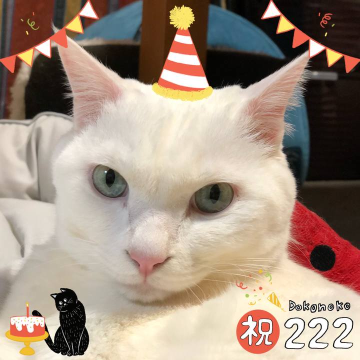 2031bddb 534f 4e09 ba0c f104e7ae4a1f 1645532531445