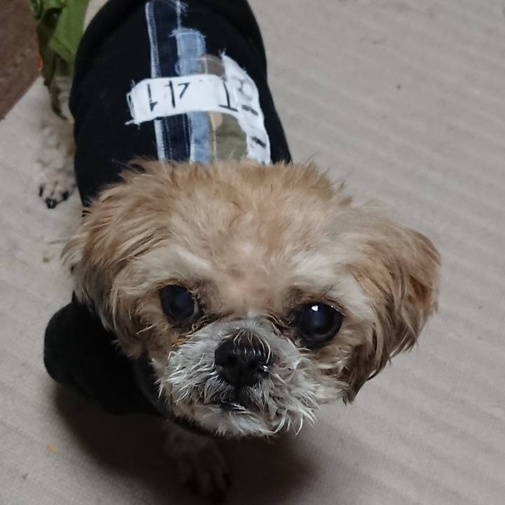 2031d873 a487 458d a4a0 7754e884393e 1539143815774