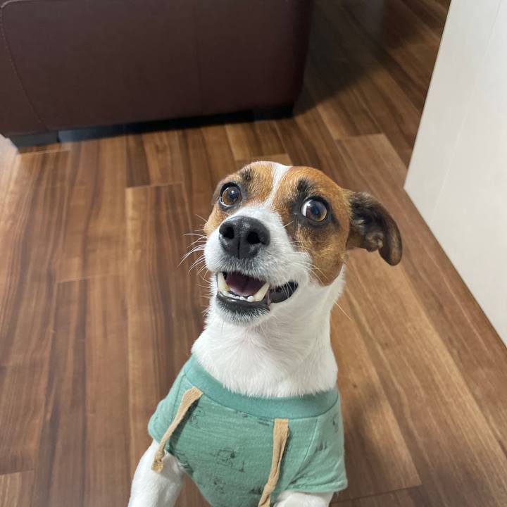 203214c0 4236 4adb 997c b98613751145 1654842230308