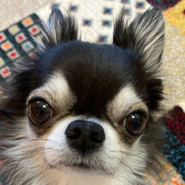 20326971 10e3 4c79 91af d8934061c6aa 1705187272076